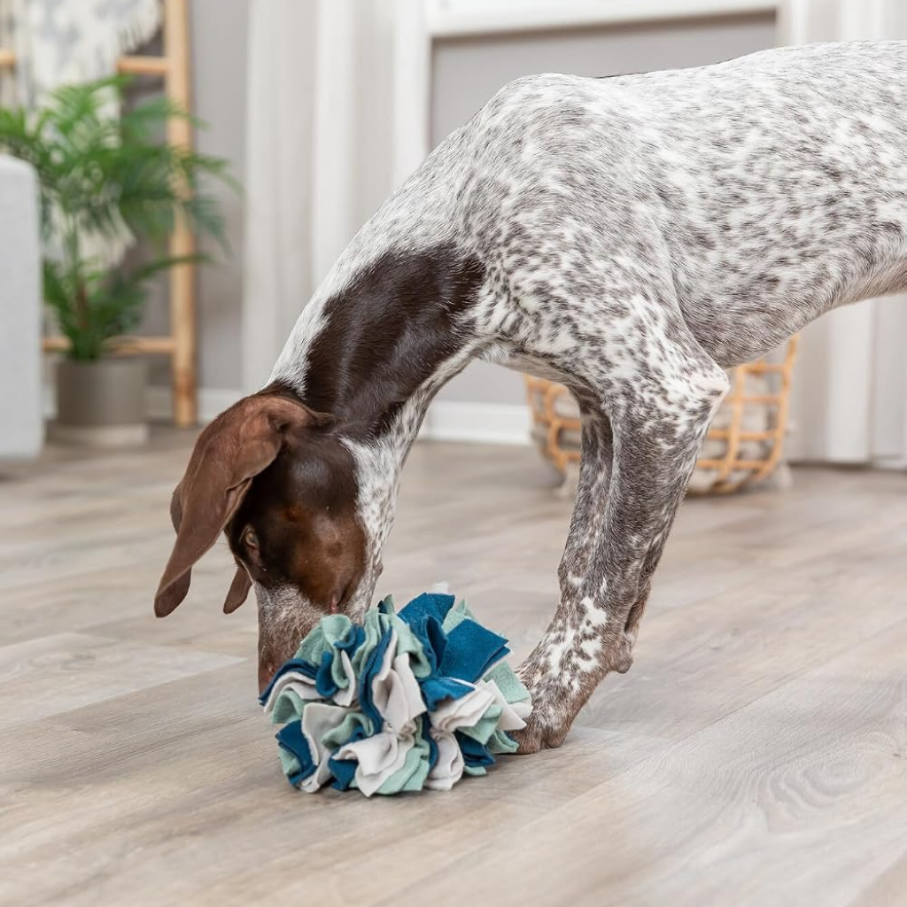 Trixie Dog & Cat Activity Snuffle Ball - Cat Toys 4