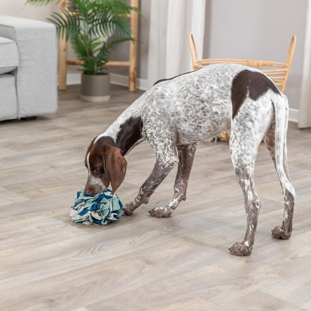 Trixie Dog & Cat Activity Snuffle Ball - Cat Toys 3