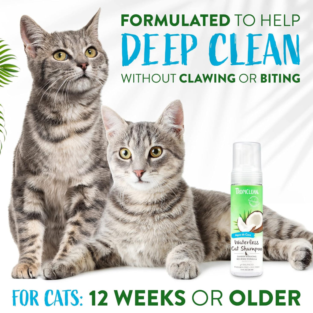 TropiClean Dander Reducing Waterless Cat Shampoo (7.4oz)