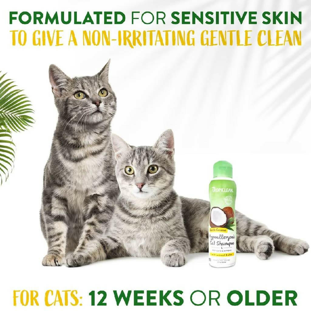 TropiClean Gentle Coconut Hypoallergenic Cat & Kitten Shampoo (12oz)