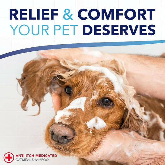 Tropiclean Oxy-Med Oatmeal Shampoo For Pets (20 oz)
