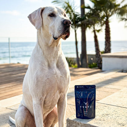 TVATI Pet Massage Oil 30 doses - 0.5ml 1-pack (for Pets) - Dog & Cat Joint Supplement 9