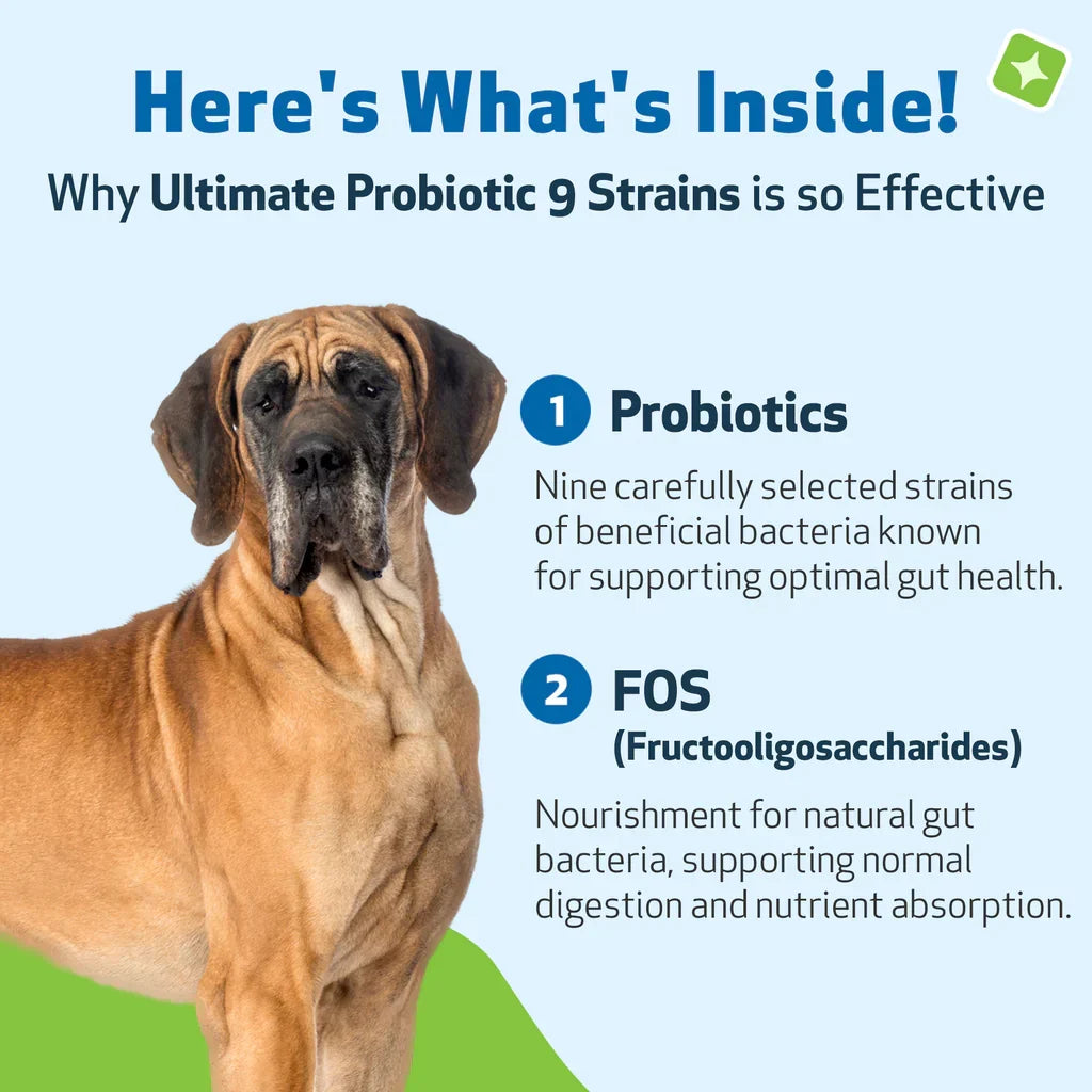 Ultimate Probiotic 9 Strains with Prebiotics for Dogs (11.29 oz) - cat Vitamins & Supplements 3