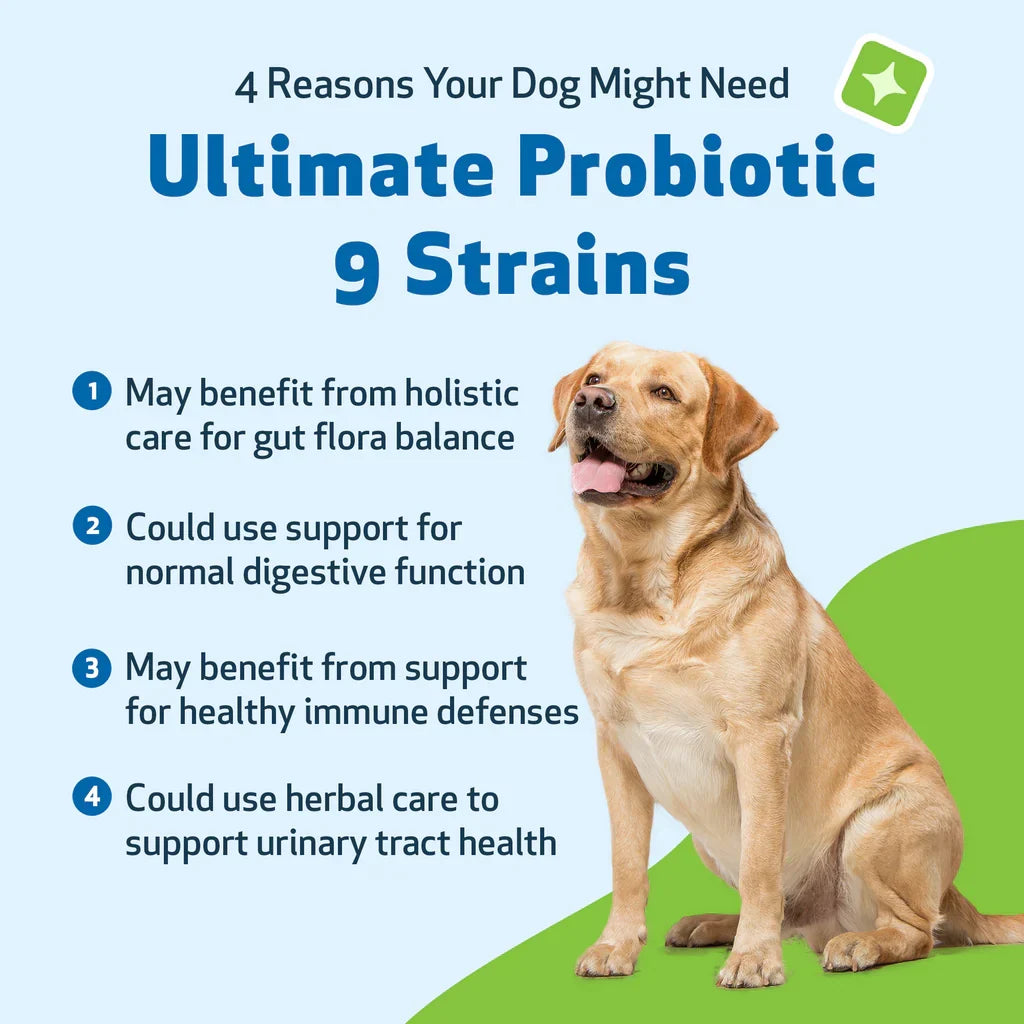 Ultimate Probiotic 9 Strains with Prebiotics for Dogs (11.29 oz) - cat Vitamins & Supplements 9