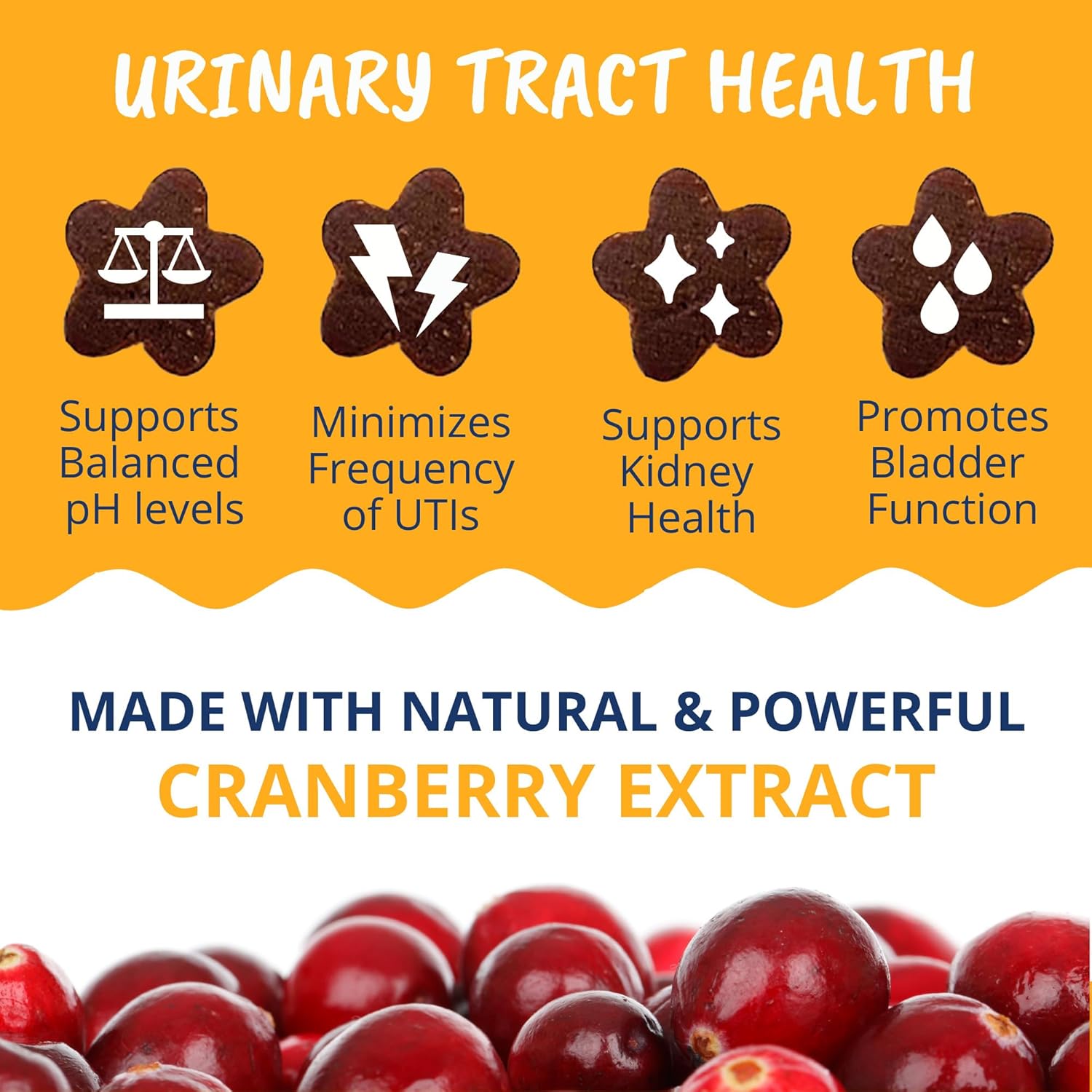 Under the Weather Urinary Soft Chews for Cats