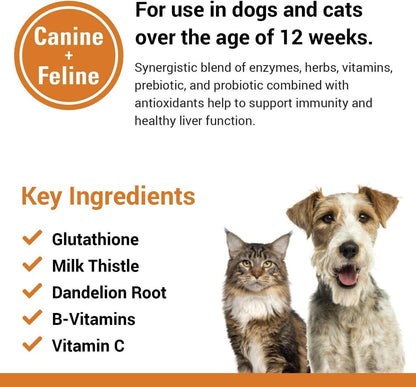 Vet Classics Liver Support for Dogs & Cats (60 Chewable Tablets) - 5