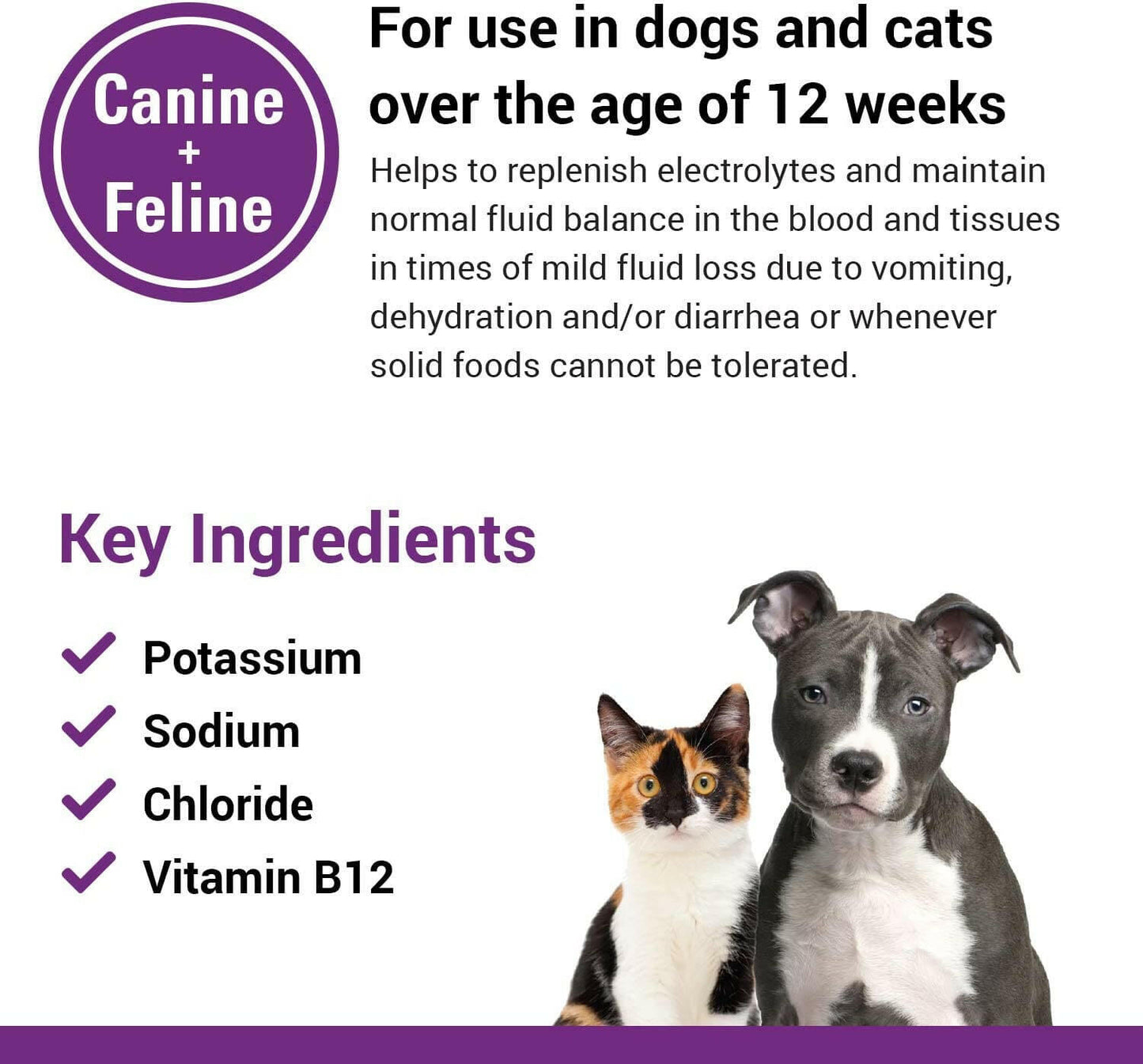 Vet Classics Pet-A-Lyte Oral Electrolyte Solution for Dogs & Cats (32 oz) - 4