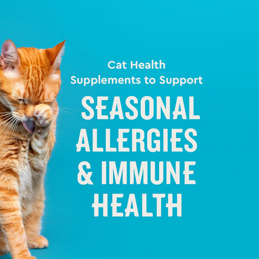 Vet IQ Allergy Pro Treats for Cats (30 Day Supply)
