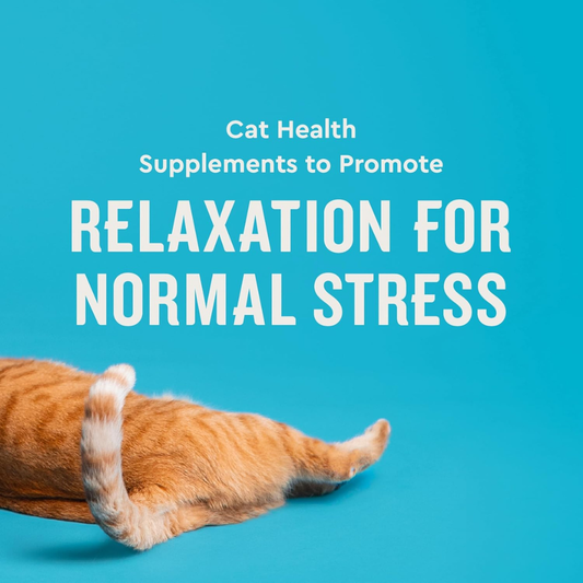 Vet IQ Calming Treats for Cats (30 Day Supply) - Dog Treats 2