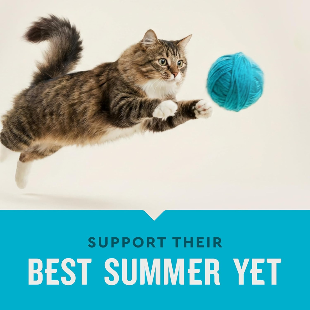 Vet IQ Probiotic Treats for Cats (30 Day Supply) - Dog Treats 10