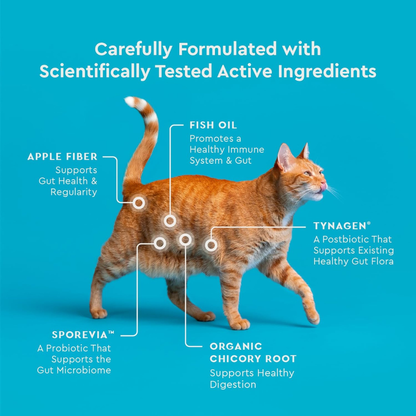 Vet IQ Probiotic Treats for Cats (30 Day Supply) - Dog Treats 6