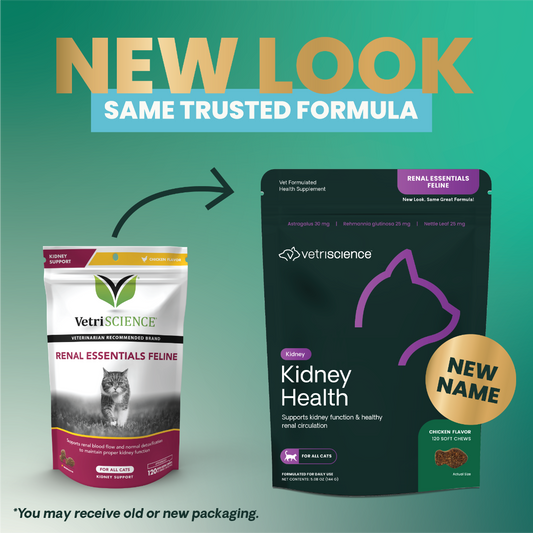 VetriScience Renal Essentials Kidney Supplement for Cats (120 Bite-Sized Chews) - Cat Supplements & Vitamins 2