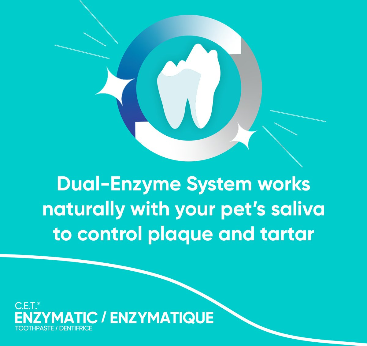 Virbac C.E.T. Enzymatic Toothpaste for Dogs & Cats 2.5 oz - Dog Dental Care 4