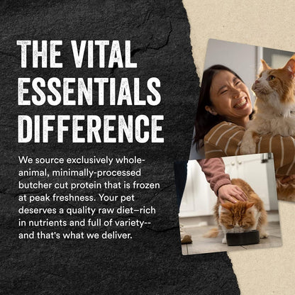 Vital Essentials Freeze-Dried Raw Minnows Treats For Cats