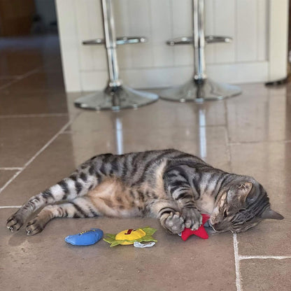 Yeowww! Sun, Moon, Stars Catnip Cat Toys