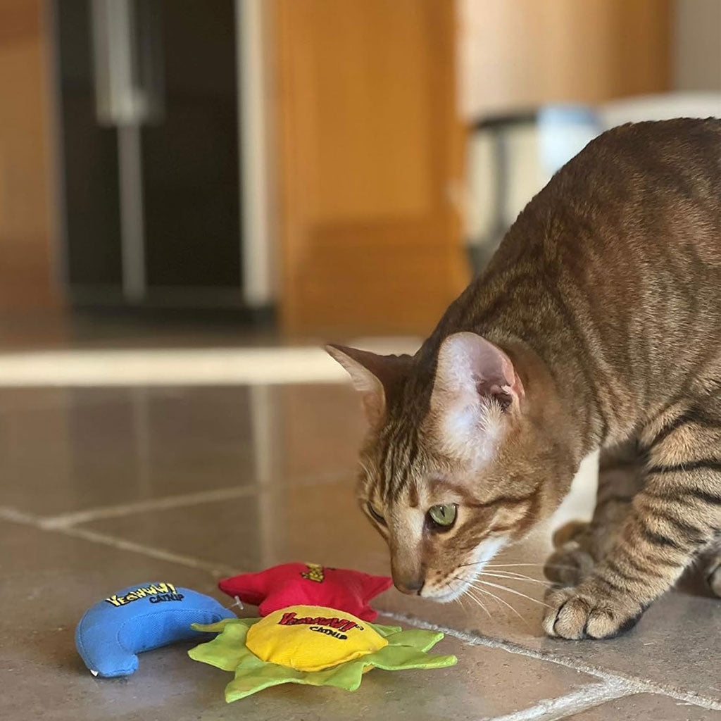 Yeowww! Sun, Moon, Stars Catnip Cat Toys