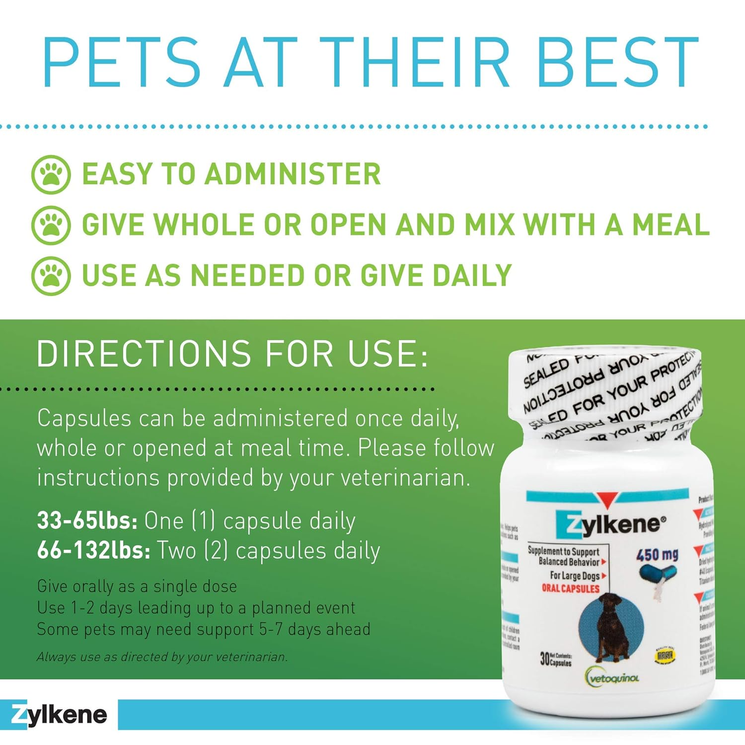 pets at their best